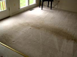 carpet-cleaning-edinburgh